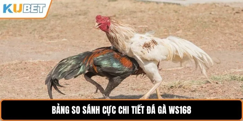 Bảng so sánh cực chi tiết đá gà WS168