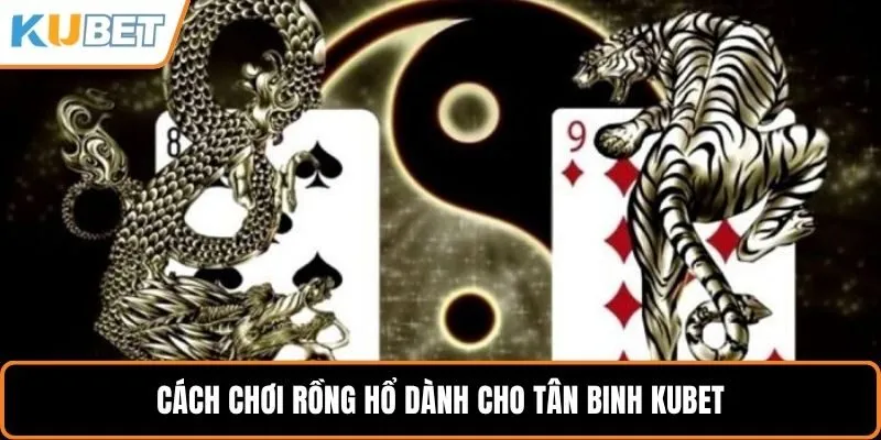 Cách chơi rồng hổ dành cho tân binh KUBET
