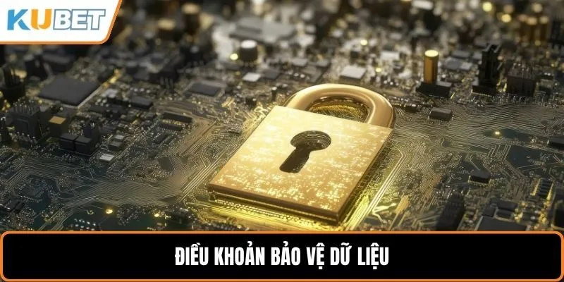 Điều khoản bảo vệ dữ liệu