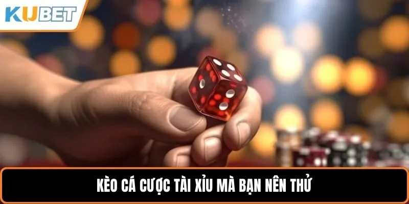 Kèo cá cược tài xỉu mà bạn nên thử