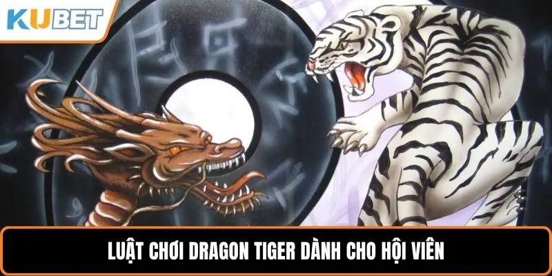 Luật chơi dragon tiger dành cho hội viên