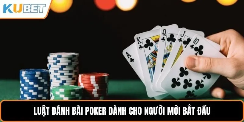 Luật đánh bài poker dành cho người mới bắt đầu