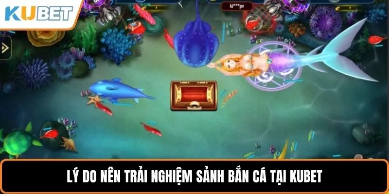 Lý do nên trải nghiệm sảnh bắn cá tại KUBET