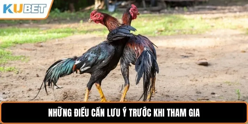 Những điều cần lưu ý trước khi tham gia