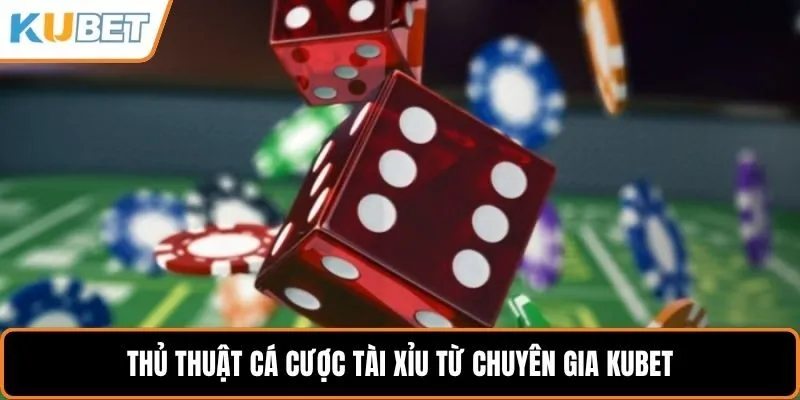 Thủ thuật cá cược tài xỉu từ chuyên gia KUBET